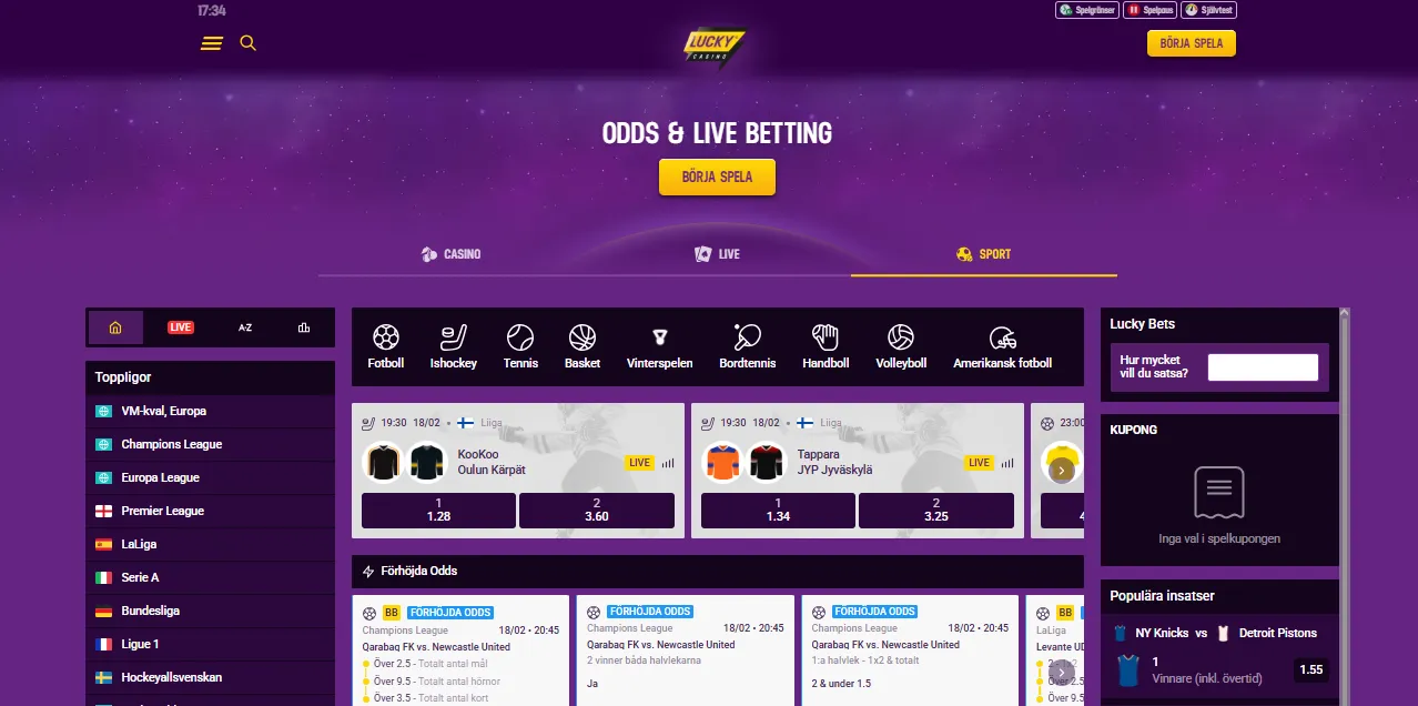 Vanliga problem vid inloggning